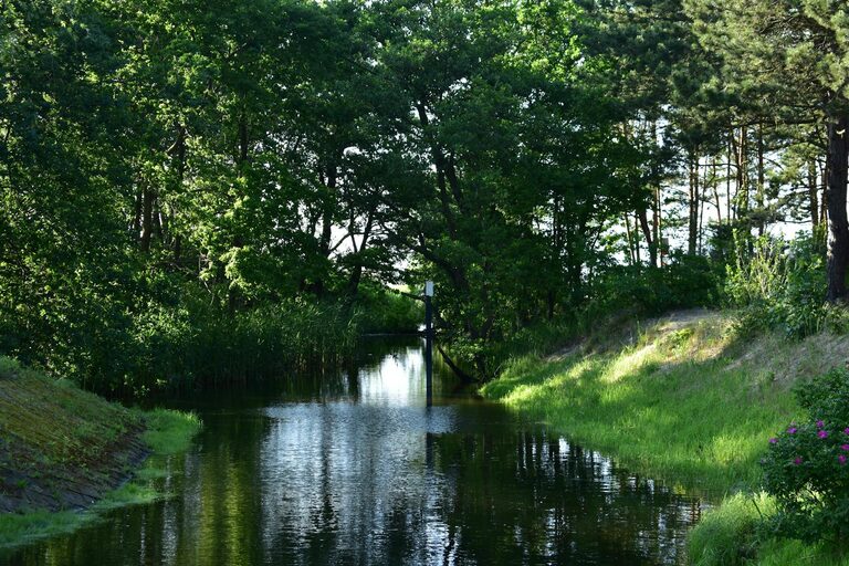 Beginner Guide to Mindful Walking for Everyday Peace